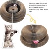Kitty Curlz, Kitty Curlz Cat Toy - Magic Organ Cat