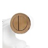 Housler® Brushed Brass Pneumatic Toilet Cistern Tank Dual Push Button