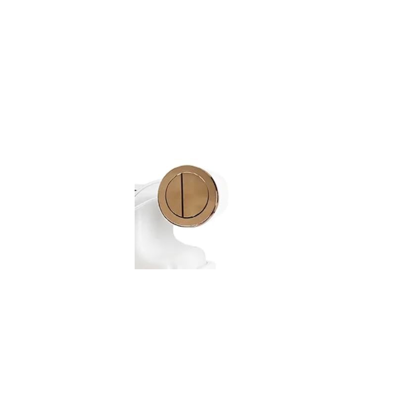 Housler® Brushed Brass Pneumatic Toilet Cistern Tank Dual Push Button