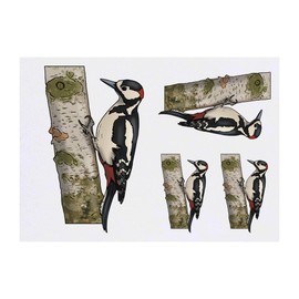 Azeeda 4 x 'Specht auf Baum' Temporäre Tattoos - Wasserfest, Hautfreundlich & Ungiftig · Transfers in Verschiedenen Größen (TO00072224)