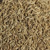 Ameyoko Otsuya Cumin Seeds, Original Shape, Home Curry, Herbs, Tea,