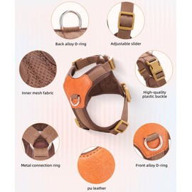 Blue Medium No Pull Dog Harness for Small Dogs, Anti-Escape Easy Walk Puppy Harness with 2 Leash Clips, Adjustable Dog Vest Harness for Training Walking(Blue, M)