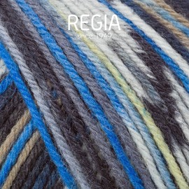 Regia 100g Sock Wool Design Line by Arne & Carlos Sh02460 Bamble
