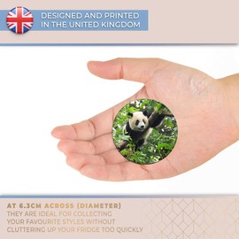 Destination Vinyl ltd Magnet for Refrigerator, Fridge - Cute Giant Panda Tree Nature for Office, Cabinet and Whiteboard, Magnetic Stickers, 21587