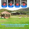 1 Inch 150 ft 24inch Chicken Enclosure, Livestock Confinement, Cages