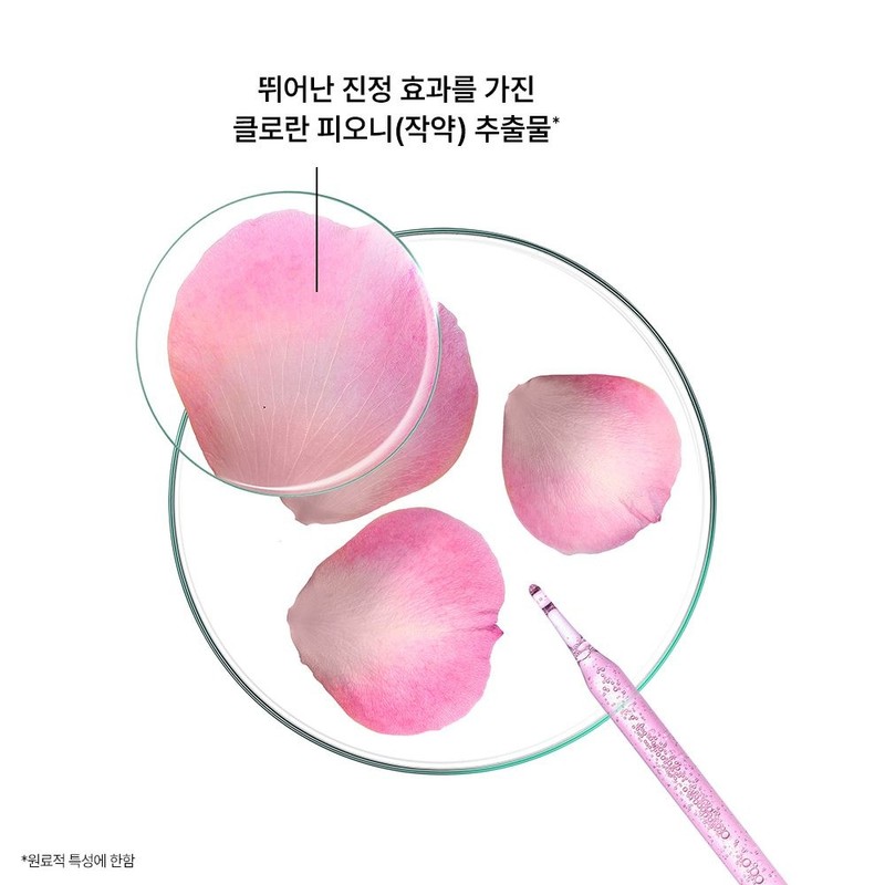 클로란 [민감두피&두피진정] 피오니 샴푸 400ml x 2개 + 200ml +