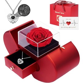 Valentines Day Gift for Her - Gifts for Women with Preserved Rose and Silver Necklace for Women, Birthday Gifts for Women Forever Rose