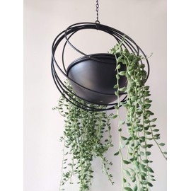 RISEON Boho Metal Plant Hanger,Metal Geometric Hanging Planter, Modern Planter, Mid Century Air Plant Holder Stand, Minimalist Planter for Indoor Outdoor Home Wedding Decor (Black)