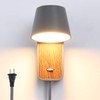 Modern Wall Lamp with Plug in Cord, Dark Grey Stylish
