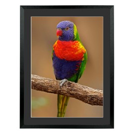 14x18 Picture Frame Wood Display Pictures 12x16 With Mat or 14x18, 14x18 Diamond Painting Frame Black with Black Mat(T22B1418B1216)