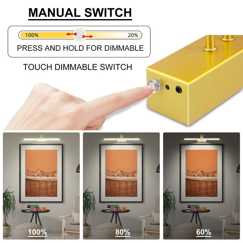 RAIFOOLLY Picture Light,16in Wireless Battery Wall Lighting,Remote Art Lights for