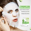 VCare Aloe & Cucumber Sheet Mask, 30 ml, (Pack of