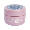 PREANFA PGU-S271 PGU-S271 Color Gel Vale Blue 271 0.1 oz