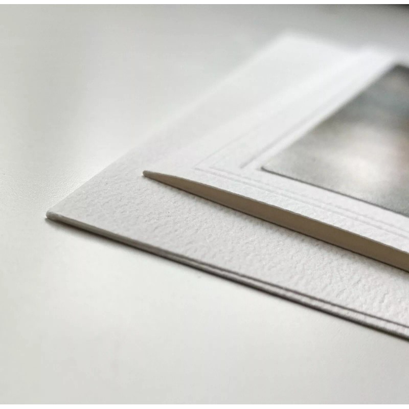 Unbranded 4 Variety Nature Themed Blank Note Cards w/ Envelopes,