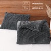 PHF Warm Sherpa Fleece Twin Comforter Set, 3D Tufted Fluffy