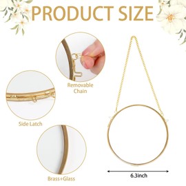 Himitimi 2pcs Double Glass Frame for Pressed Flowers, Brass Hanging Photo Frame Vintage Round Pressed Flower Frame DIY Artwork Display Picture Frame for Home Wall Decor(Gold, 6.3 Inch)