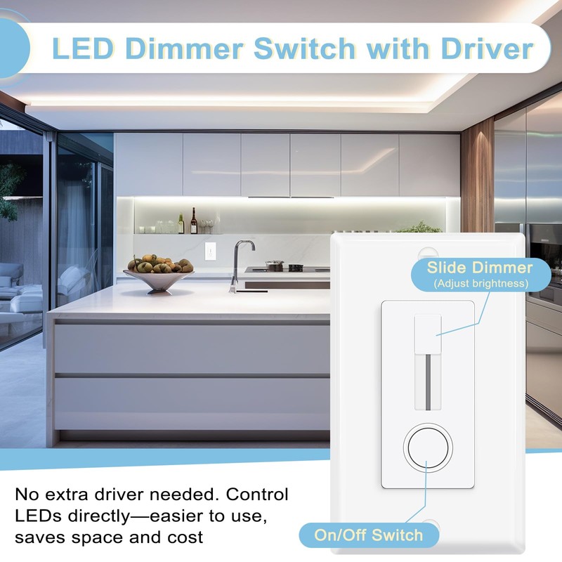 2-in-1 Dimmer Switch & 12V LED Driver, 60W Slide Dimmer