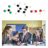 Zuotai Kit De Modelo Químico De Estructura Molecular Atómica