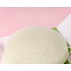 Brushworks Konjac Sponge, Green
