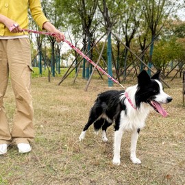 Dog Collar and Leash Set with AirTag Holder,Adjustable Dog Collars with Quick Release Metal Buckle,Flowers Patterns with Soft Padded for Small Medium Large Dogs