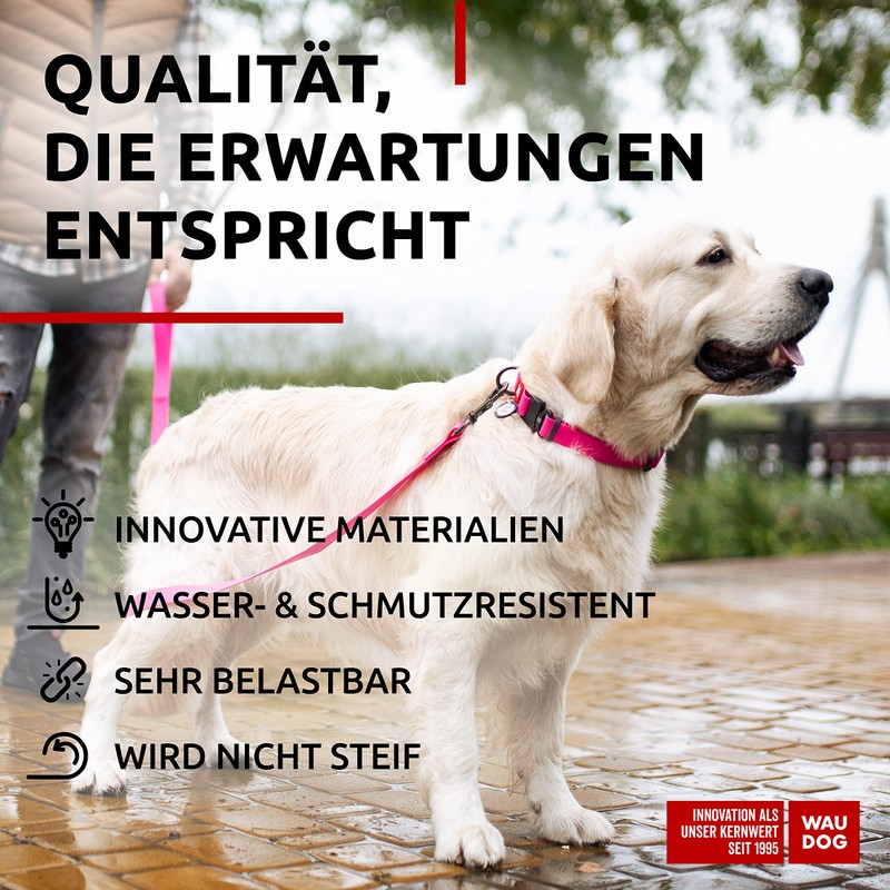 WAUDOG Dog Collar Waterproof Adjustable for Large / Small /