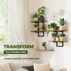 Bamworld Wall Plant Shelf Window Plant Shelves Vertical Plant Holder Wall Decor Plant Stand Indoor Floating Shelves for Plant Hangers for Living Room Bedroom Bathroom 2-Pack Brown