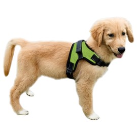 Copatchy No Pull Reflective Adjustable Dog Harness With Handle- Comfortable Soft All Weather Mesh, Easy On Puppy Harness For Small Medium and Large Dogs (Green) Small