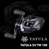 DAIWA Bait Reel 25TATULA SV TW 100HL