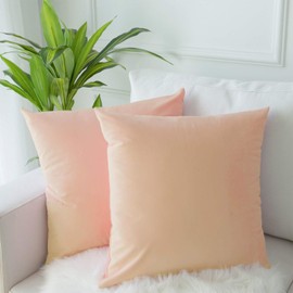 JUSPURBET Brown Velvet Throw Pillow Covers 20x20 inch Set of 2 for Living Room Couch Sofa Bedroom Decorative Square Solid Soft Cushion Cases with Invisible Zipper