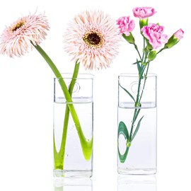 Kingbuy Plant Terrarium Container Propagation Station Square Tube Vase Wall Hanging Glass Planter Indoor Hydroponic Plants Home Office Garden Decor, 2 Pack