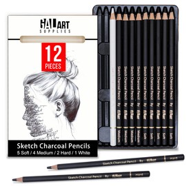 Galart Supplies Charcoal Drawing Set with Organizer Tray – 12 Pieces Soft, Medium, Hard and White Charcoal Pencils for Drawing, Shading and Sketching for Artists and Beginners