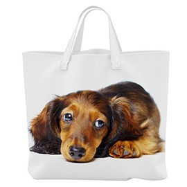 Merchandise for Fans Shopping Bag – 45 x 42 cm x 9.5 cm, 18 Litres – Design: Dachshund/Teckel/Dachshund Longhaired Lying [23], White with photographic print, shoulder bag