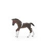 Schleich Trakehner Foal Toy Figure