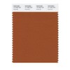 Pantone 17-1342 TCX Smart Color Swatch Card, Autumnal