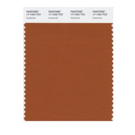 Pantone 17-1342 TCX Smart Color Swatch Card, Autumnal