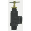Dayton, 4KGZ9, Relief Valve, 13 GPM, 3/4 NPT x 3/4