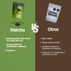 Zen Tea Té Verde Matcha Natural y Orgánico Sin Azúcar