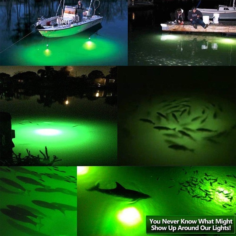 SHADDOCK Underwater Night Fishing Light Submersible Deep Drop Fishing Lamp