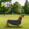 Fancy Pets Chaleco Tom para Perro Tamaño Extra Grande Color