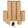 Beavorty Empty Kraft Paper Boxes for Essential Oils, 10 Pieces