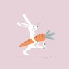 20 Napkins Rabbit on the Go with Carrot | Table