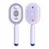 Rechargeable Water Spray Hair Brush for Women – USB-C Detangling