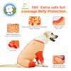 LovinPet Dog Recovery Bodysuit, Full Body Wound Protection for Large