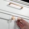 TUNNY 10 Pack Modern Cabinet Handles-3.8"/96mm Screw Spacing Matte Champagne