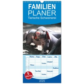 Familienplaner 2025 - Tierische Schweinerei mit 5 Spalten (Wandkalender, 21 cm x 45 cm), CALVENDO