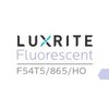 LUXRITE LR20765 (4-Pack) 54-Watt 4 FT T5 High Output Fluorescent