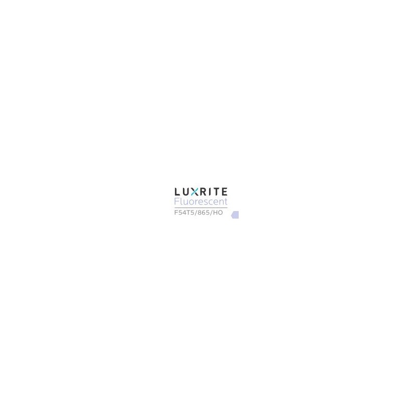 LUXRITE LR20765 (4-Pack) 54-Watt 4 FT T5 High Output Fluorescent