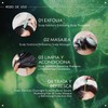 Aveda Scalp Solutions Balancing Shampoo Limpiador Hidratante