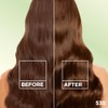 Garnier Nutrisse Nourishing Hair Color Creme, 535 Medium Gold Mahogany