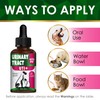 Сat Urinary Tract Infection Treatment with Cranberry – Dog UTI